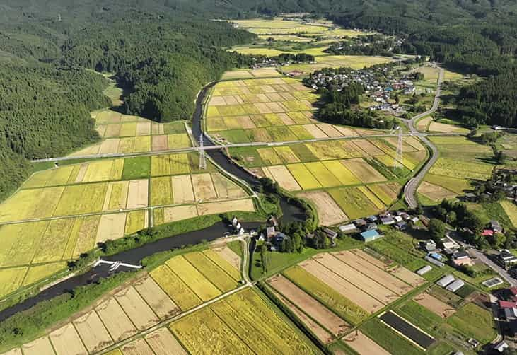 水路の整備計画、設計